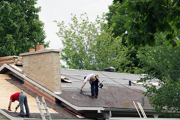 Best Storm Damage Roof Repair  in Boulder Hl, IL
