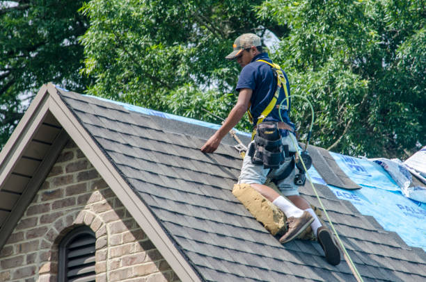 Trusted Boulder Hill, IL Roofing Contractor Experts